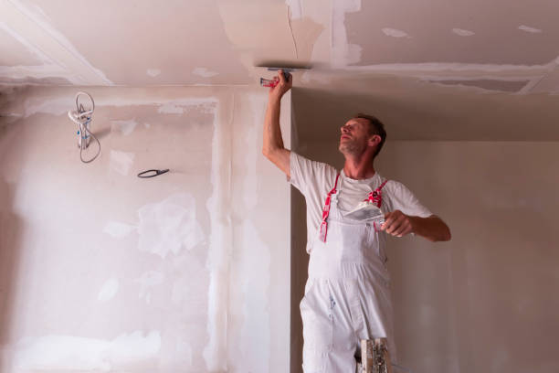 Best Drywall Patching  in USA